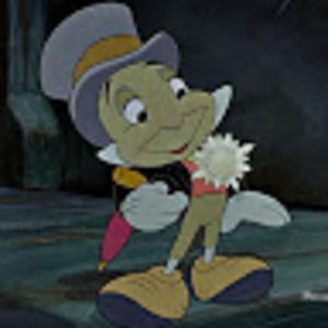 Meet your Posher, Tracie